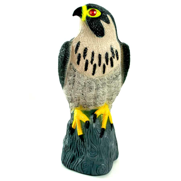 Falcon Decoy