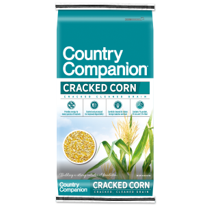 Cracked Corn Livestock Feed
