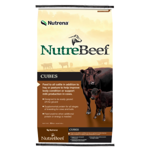 Cubes Cattle Feed