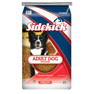 Adult Dog Food