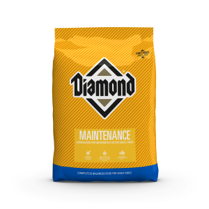 Maintenance Formula Dry Dog Food