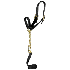 Cow Show Halter with Lead