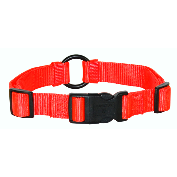 Adjustable Safe-rite Nylon Dog Collar with Safety Tape