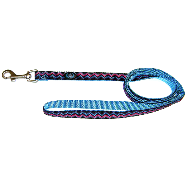 Nylon Dog Leash with Deluxe Webbing-Weave Design