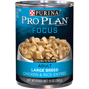 Focus Adult Large Breed Chicken and Rice Entrée Dog Food