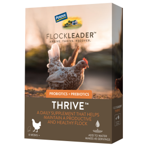 Thrive Daily Supplement