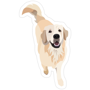 Golden Retriever Doggo Sticker