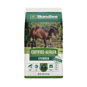 Certified Alfalfa Cubes Horse Feed
