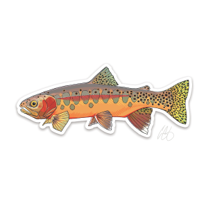 Golden Trout Decal