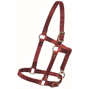 Riveted Horse Halter Yearling