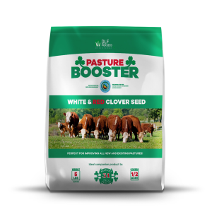 Red and White Clover Seed